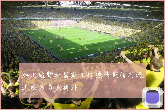 加比盛赞托雷斯工作热情期待其迅速成为马竞新帅