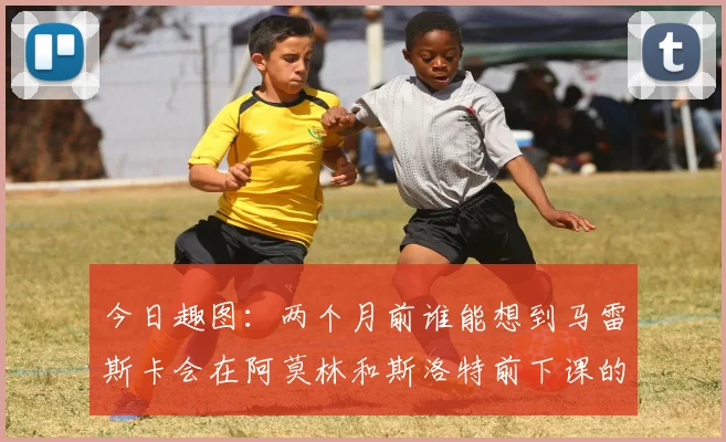今日趣图：两个月前谁能想到马雷斯卡会在阿莫林和斯洛特前下课的戏剧性转折